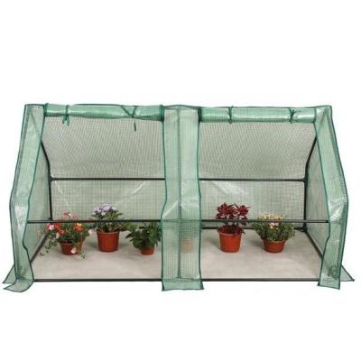 Metal Frame PE Portable Outdoor Mini Garden Walk-In Greenhouse for Planting Needs
