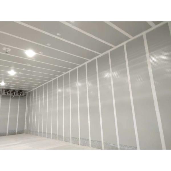 Portas ultrassônicas do armazenamento frio da sala de CA para a esterilização do vegetal de fruto