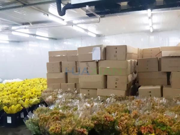 Air Cooled Cold Storage Room Fresh Cut Floral Flower Walk In Cooler