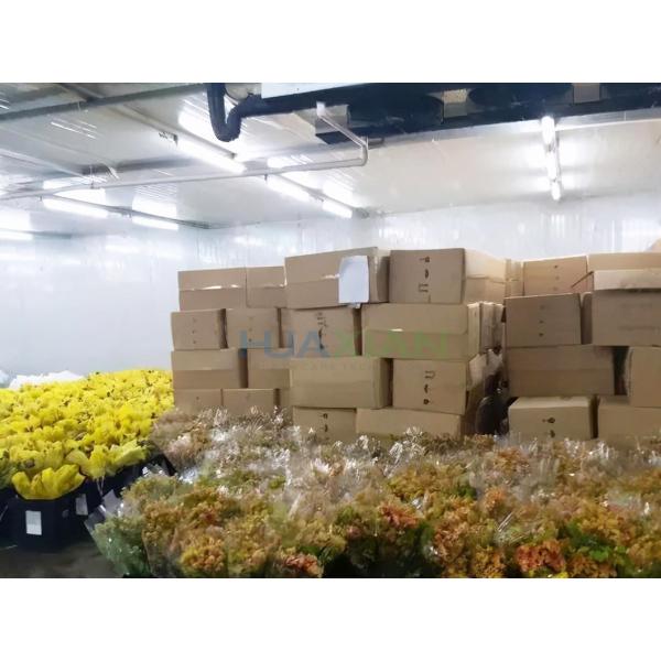 Air Cooled Cold Storage Room Fresh Cut Floral Flower Walk In Cooler