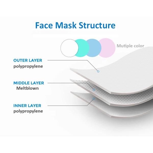 Anti Dust Sanitary Disposable 2 Ply 3 Ply Earloop Face Mask