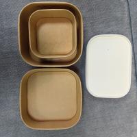 Recipiente descartável feito sob encomenda para levar embora o almoço para o produto comestível de fast food