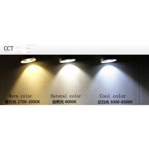 Черным приведенный проводом освещать следа фары крытый