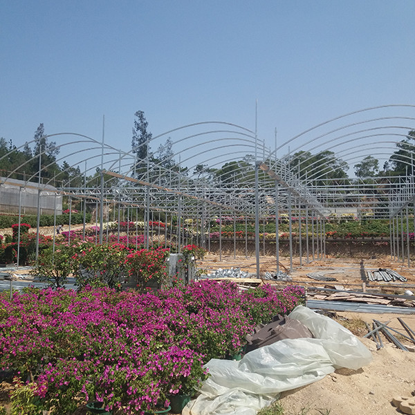 Modern Greenhouse Ventilation High Roof UV Plastic For Tropical Rainy Regions