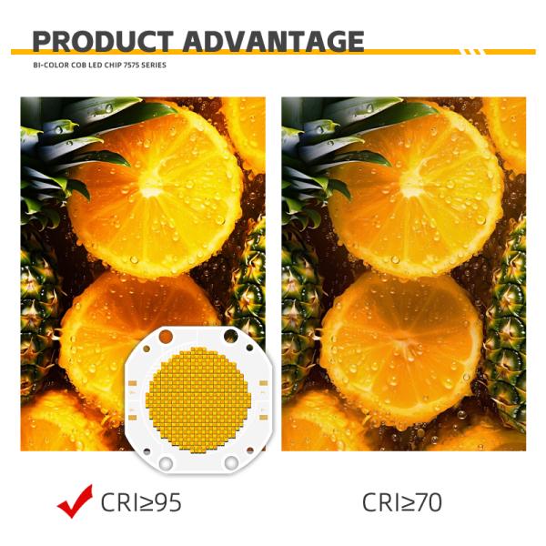 Dual CCT COB LED Chip High Power 60V Bi-Color 600W+600W 3000lm 1W 2700K/6500K Color Temperature 95Ra 75*75