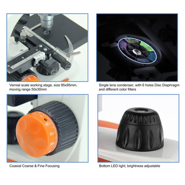 400x Electron Optical Led Binocular Biological Microscope