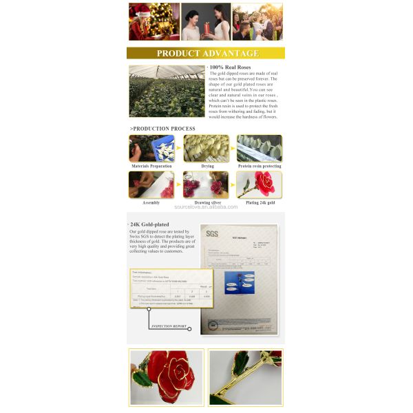 24K Gold  Rose  Golden Rose  Real Preserved Fresh Eternal Rose Flower for Valentines Day Mother's Day and Christmas