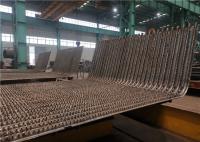 Mur de Pin Type Barbed Boiler Water avec le revêtement réfractaire NDT