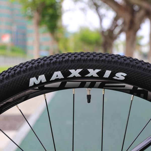 Vélo à vélo 29 pouces MTB Vélo de montagne Bicicleta Vélo avec matériau de fourchette en alliage d'aluminium