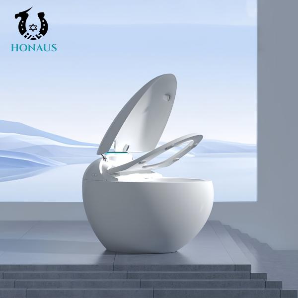 High Tech Smart Intelligent Toilet Night High Quality Ceramic Egg Shape Multi Editions