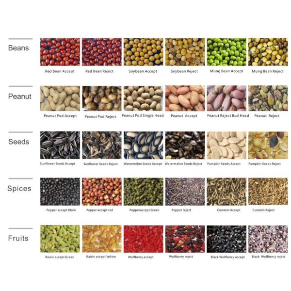 Multipurpose Grain Color Sorter Machine Intelligent Multi Grain Sorter Machine