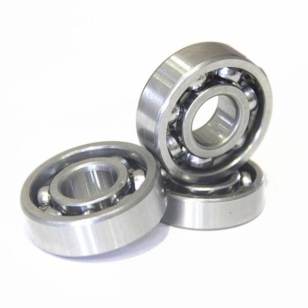 Bimetal Bushing Needle Bearings Precision Rating P0 RS Stainless Bearing Hardware Fitting
