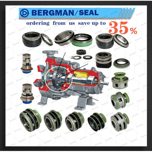 ISO9001-2015 Certified Replace Flygt FQL-60mm Pump Mechanical Seal with Tungsten Carbide TC Lower Seal