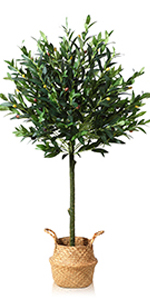 Artificial Golden Dieffenbachia Plant 43 Inch Tall Fake Tropical Lifelike Tree in Pot Silk Faux Dark Green Plant