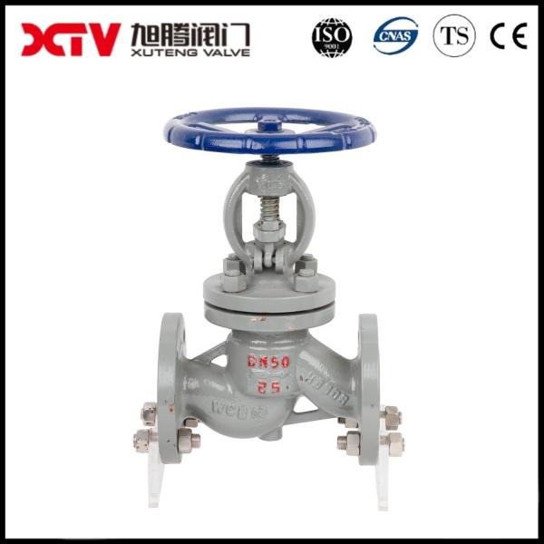 Water Media Flanged Globe Valve About Shipping CE/SGS/ISO9001