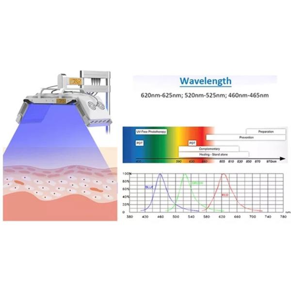 Фотодинамическая обработка Skincare угорь машины терапией света 1000W Pdt