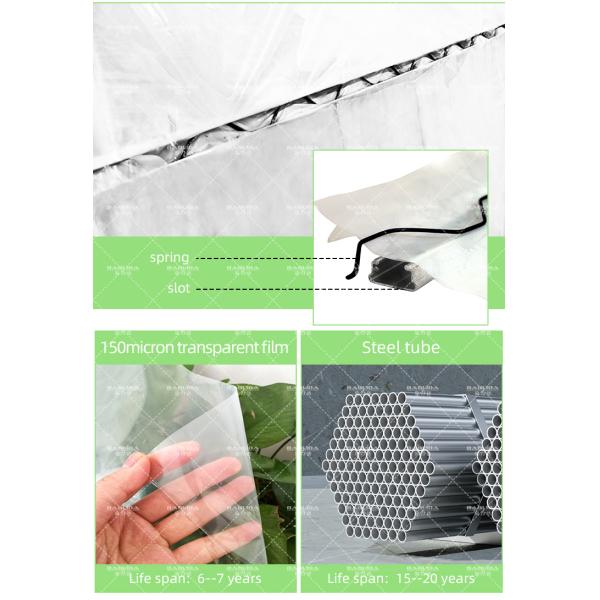 Roll Up Sides Ventilation Sustainable Hothouse High Tunnel Greenhouse for Farm