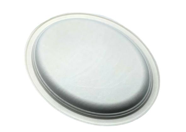 17g 10 Oval Biodegradable Sugarcane Bagasse Plates