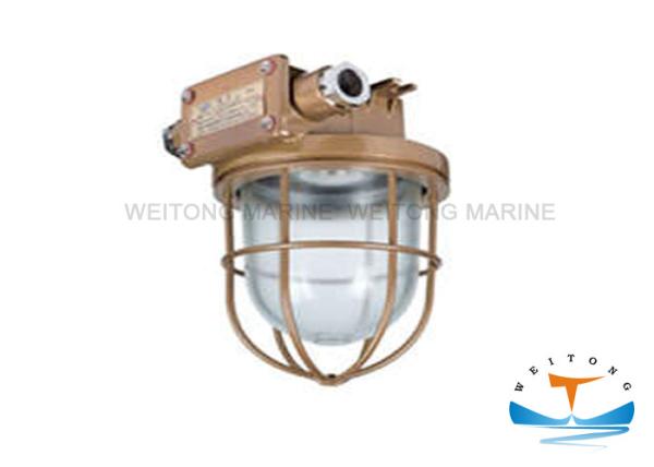Waterproof Marine Lighting Equipment , 220Volt 60Watt Incandescent Pendant Light