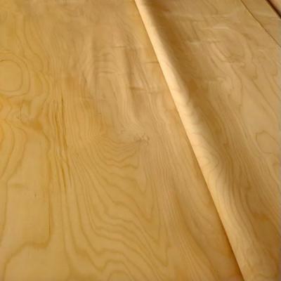 Folhas de madeira natural de corte rotativo de bétula 0,6 mm-3,0 mm Para artesanato
