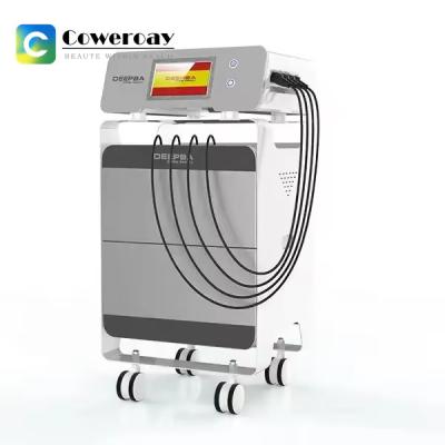 448khz Tecar Cet Ret Machine RF Physiotherapy Diathermy Machine