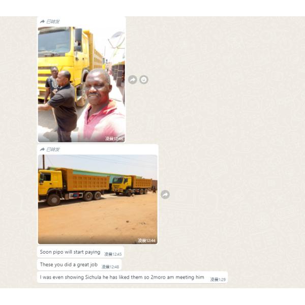 6х4 430 л.с. Камминс Дэмп-Трак для строительства 2 пассажира Задняя камера Не оборудован