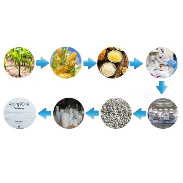 Замороженная Biodegradable упаковывая сумка