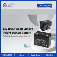 OEM ODM LiFePO4 batterie au lithium 12V 100Ah batterie au lithium Smart Deep Cycle batterie personnalisée batteries au lithium