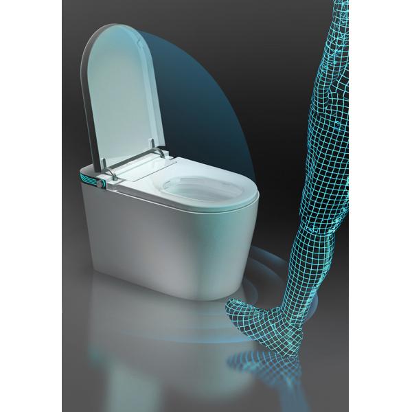 Автоматические санитарные детали изделий, шар туалета Wc черного Bathroom умный керамический