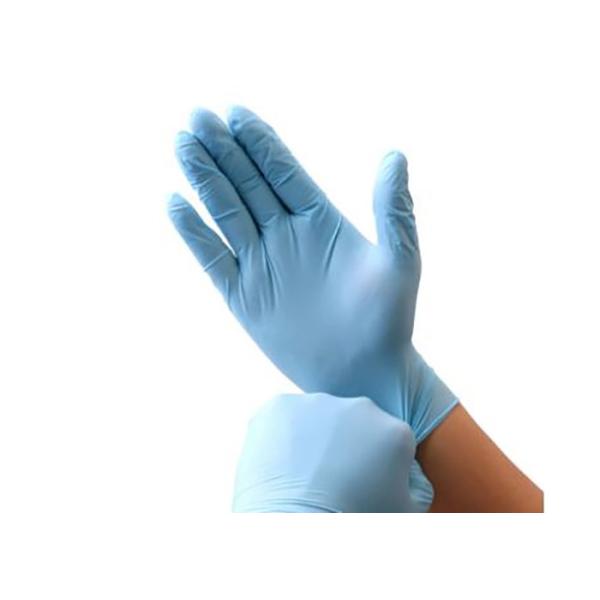 Powder Free Vinyl Exam Gloves