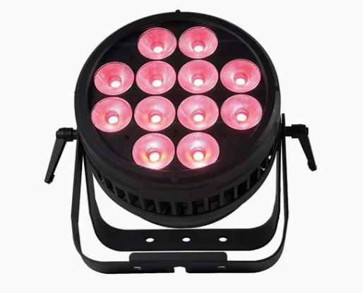 LED PAR 12*20W