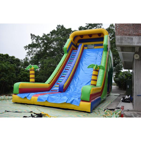 シンプルな大型インフレータブルドライスライド/明るい色のヤシの木のスライド