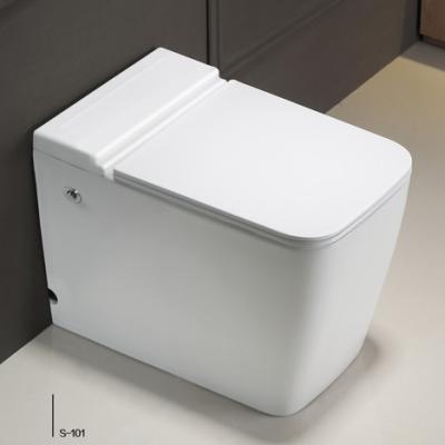 Modern High Efficiency Toilet Tankless Wall Hung for Bathroom
