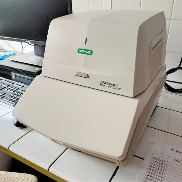Cfx96 Bio-Rad Connect Система обнаружения ПКР в режиме реального времени в областях анализа уровня экспрессии генов