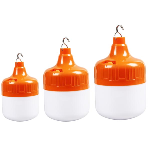 Rechargeable DC Emergency LED Bulb Light For Fishing Camping With Battery