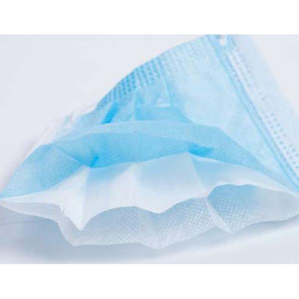 EN 149 Disposable Dust Mask