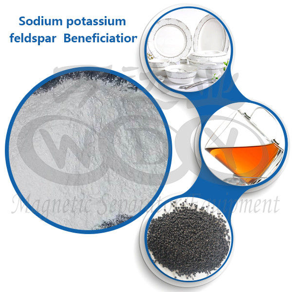 Strong Permanent Magnets , Magnetic Ore Separator Customize