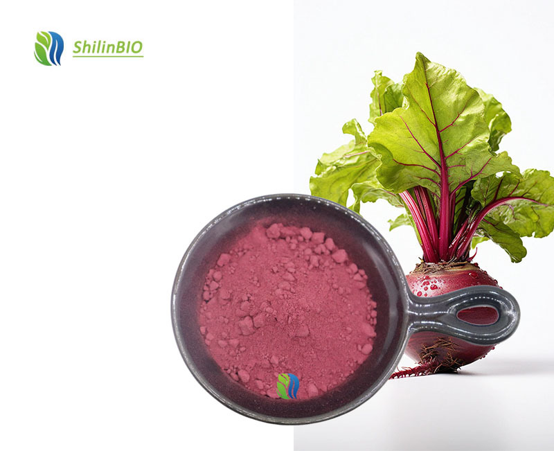 SLBIO Supply Herbal Extract Supplement Beetroot Powder Customized Private Label Beet Root Powder