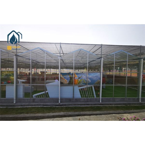 Single Side Fixed Roof Vent Multi Span PE Film Greenhouse with Insect Net Integration...