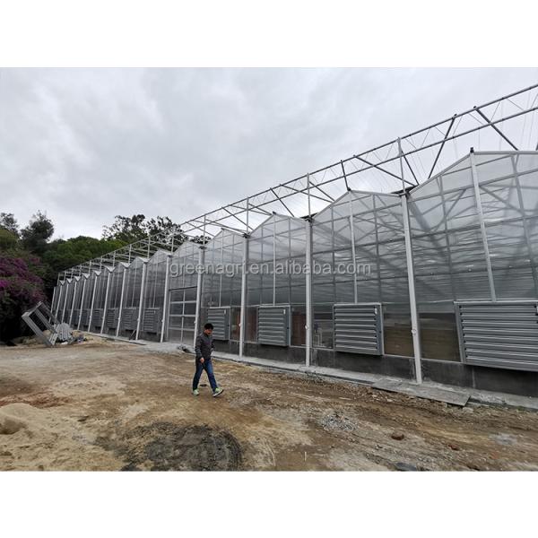 IGreen Commercial Polycarbonate Greenhouse Greenhouse Polycarbonate Frame