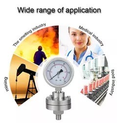 Zhejiang Made 2.5 Precision 60mm Stainless Steel Diaphragm Pressure Gauges with Long