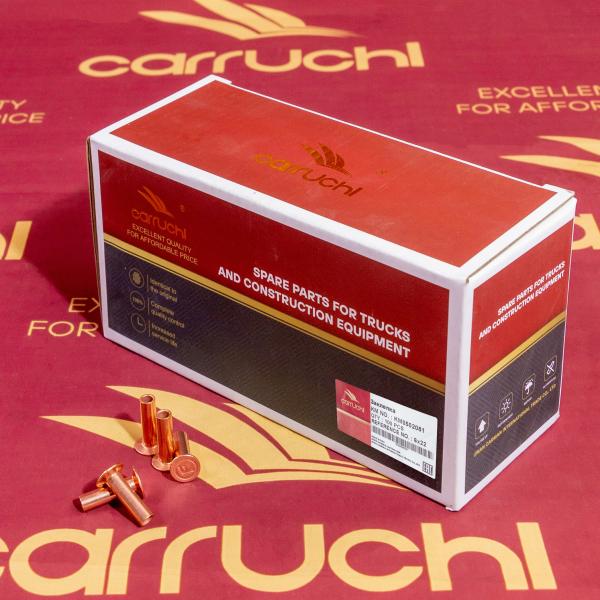 KM0502081 CARRUCHI Pièces pour camions 6 * 22 rivets en fer