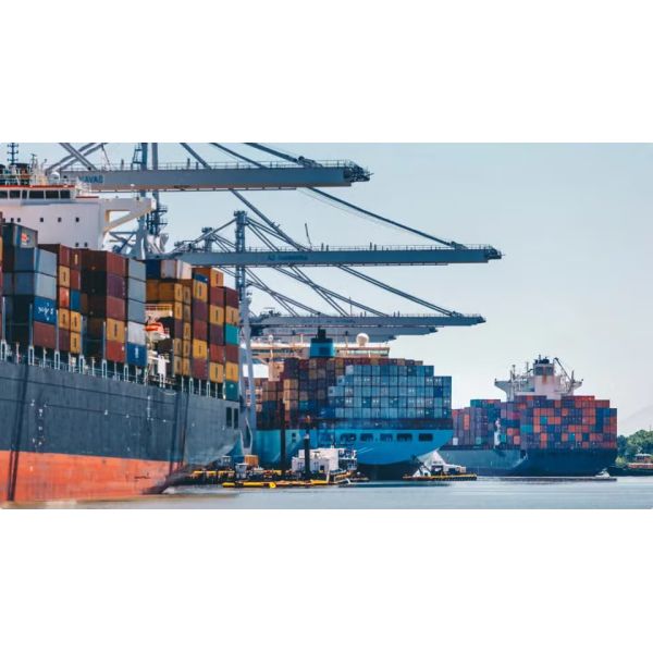 NVOCC Ocean Freight Forwarder Sea Freight From China To Dubai