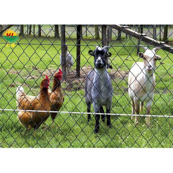 12 Gauge Plastic Coated Diamond Mesh Fencing 60*60 1.5m High For Farm