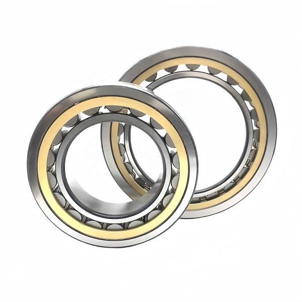 Chrome Steel Gcr15 Cylindrical Roller Bearing NU/NJ/NF212EM 60*110*22mm for Retail
