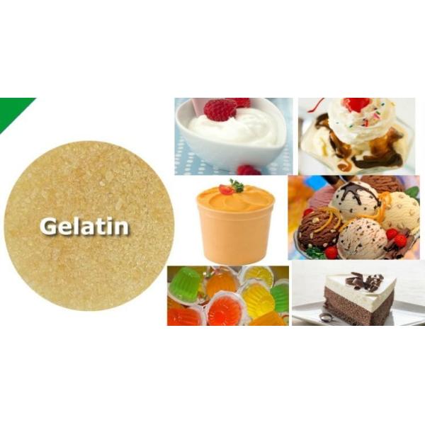 Édulcorants Gelatine de bœuf pur Poudre de gélatine bovine pour les bonbons et les desserts