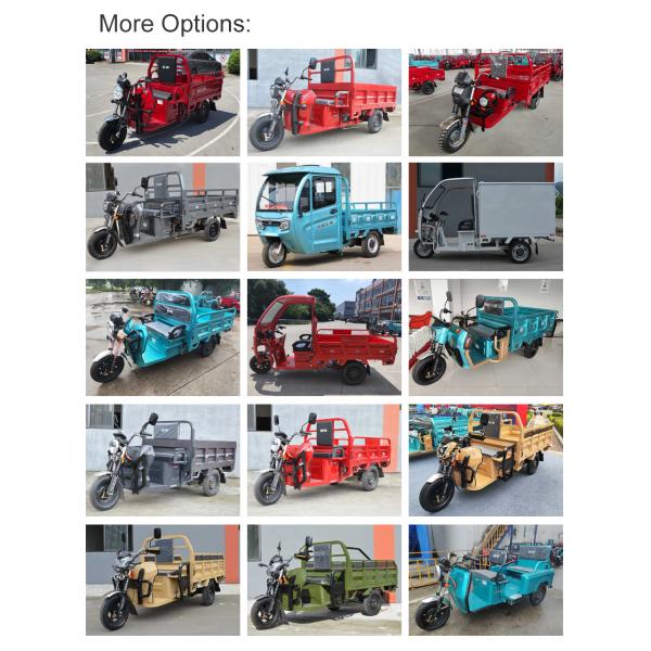 51km/h Max Speed Gear Shifting Braking System Electric Cargo Tricycle with Passenger Seat