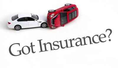Commercial Bodily Injury Liability Multi Car Insurance For Theft , Hitting An Animal