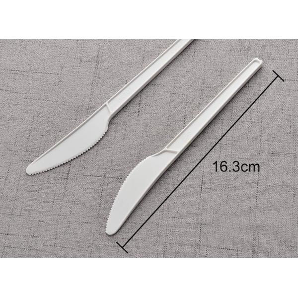 Disposable Spoon Fork Knife Set Biodegradable Option for Catering and Buffet Service