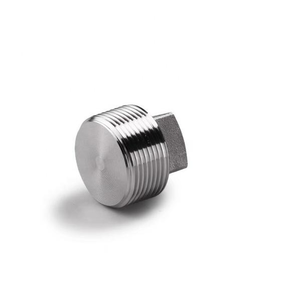 Silver Coated WZ Stainless Steel 304 316 316L High Pressure Forged Square Plug NPT BSPT